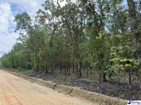 tbd Wire 2 Rd, Cheraw, SC 29520 photo 4