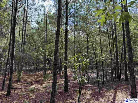 tbd Wire 2 Rd, Cheraw, SC 29520 photo 8