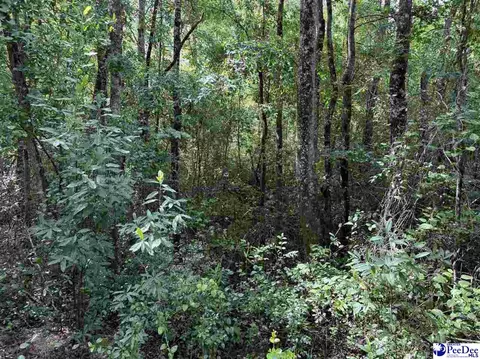 tbd Wire 2 Rd, Cheraw, SC 29520 photo 11
