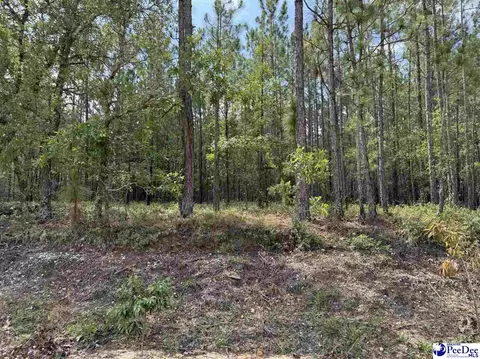 tbd Wire 2 Rd, Cheraw, SC 29520 photo 1