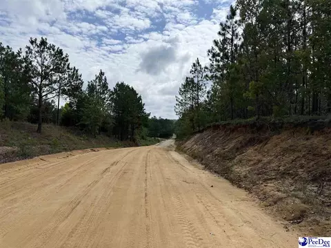 tbd Wire 2 Rd, Cheraw, SC 29520 photo 10