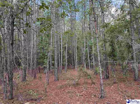 tbd Wire 2 Rd, Cheraw, SC 29520 photo 3