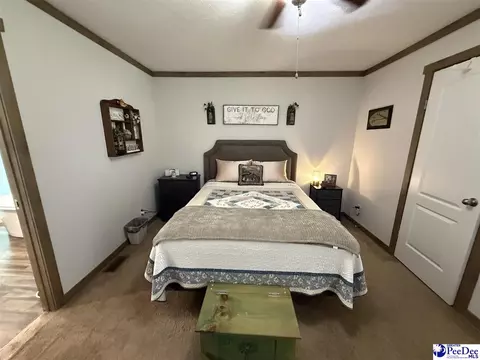 807 Saddlebrook Rd, Cheraw, SC 29520 photo 24