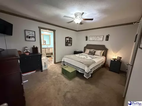 807 Saddlebrook Rd, Cheraw, SC 29520 photo 21