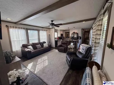 807 Saddlebrook Rd, Cheraw, SC 29520 photo 5