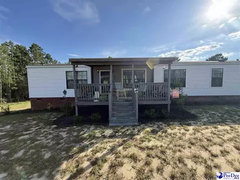 807 Saddlebrook Rd, Cheraw, SC 29520 photo 32