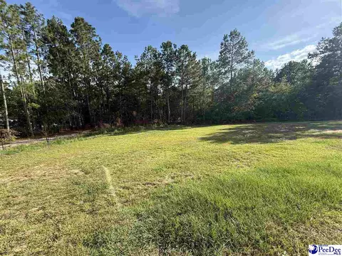 807 Saddlebrook Rd, Cheraw, SC 29520 photo 34