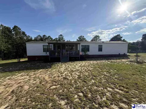 807 Saddlebrook Rd, Cheraw, SC 29520 photo 30
