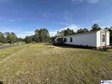807 Saddlebrook Rd, Cheraw, SC 29520 photo 28