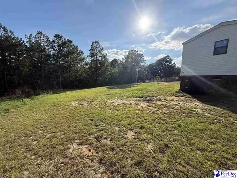 807 Saddlebrook Rd, Cheraw, SC 29520 photo 33