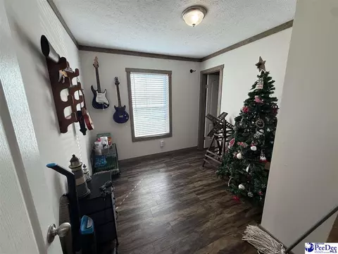 807 Saddlebrook Rd, Cheraw, SC 29520 photo 17