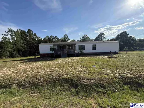 807 Saddlebrook Rd, Cheraw, SC 29520 photo 29