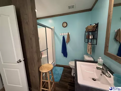 807 Saddlebrook Rd, Cheraw, SC 29520 photo 26