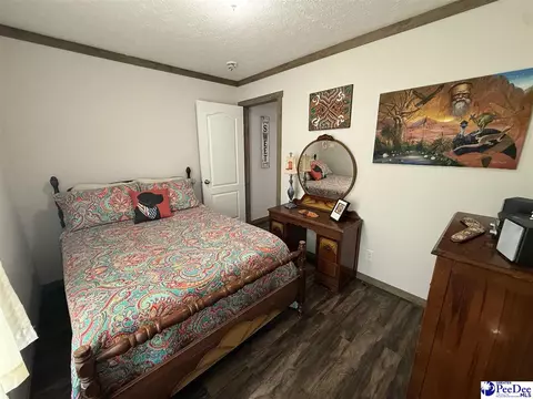 807 Saddlebrook Rd, Cheraw, SC 29520 photo 20