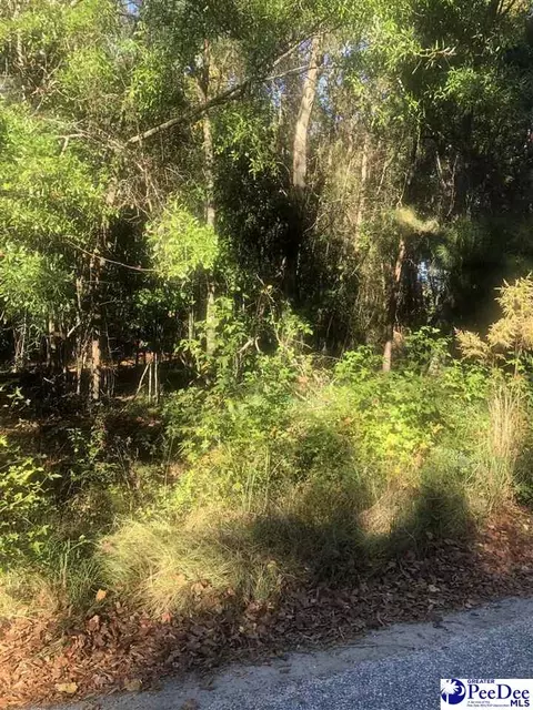 2440 S Robenson Ave, Florence, SC 29505