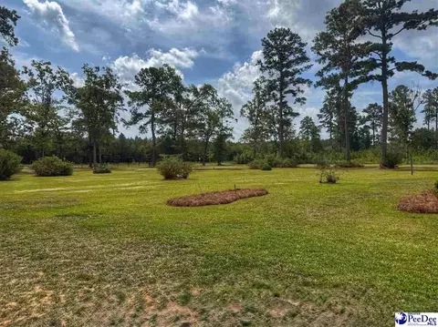 Exterior - 717 Higgins Rd, Dillon, SC 29536 photo 11 of 11