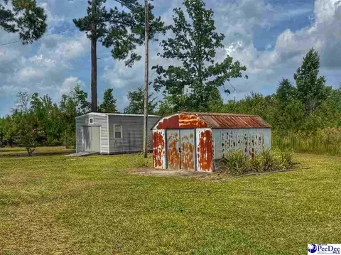 Exterior - 717 Higgins Rd, Dillon, SC 29536 photo 10 of 11