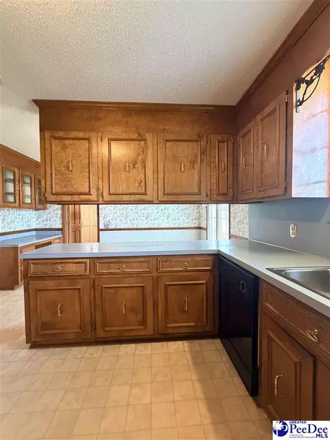 Kitchen - 717 Higgins Rd, Dillon, SC 29536 photo 2 of 6