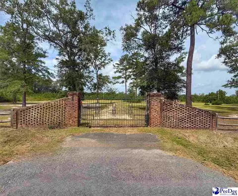 Other - 717 Higgins Rd, Dillon, SC 29536 photo 2 of 9