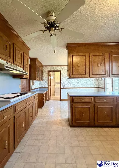Kitchen - 717 Higgins Rd, Dillon, SC 29536 photo 1 of 6