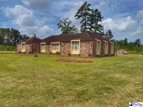 Other - 717 Higgins Rd, Dillon, SC 29536 photo 9 of 9