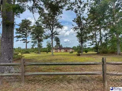 Exterior - 717 Higgins Rd, Dillon, SC 29536 photo 1 of 11