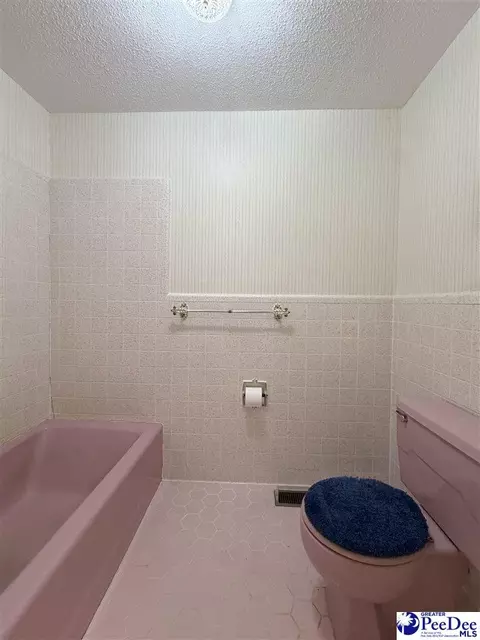Bath - 717 Higgins Rd, Dillon, SC 29536 photo 5 of 6