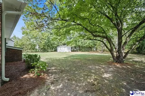 Exterior - 403 Diane Dr, Cheraw, SC 29520 photo 6 of 6