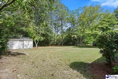 Exterior - 403 Diane Dr, Cheraw, SC 29520 photo 5 of 6