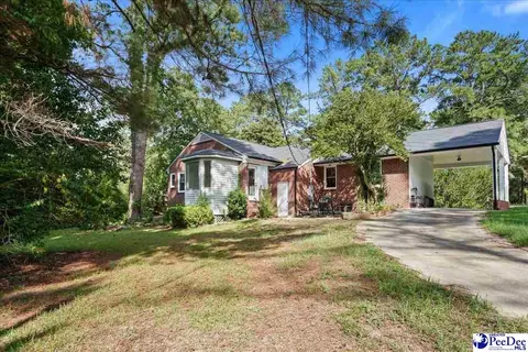 Exterior - 206 State Rd, Cheraw, SC 29520 photo 7 of 9