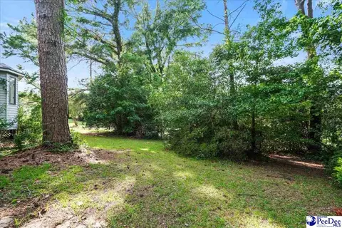 Exterior - 206 State Rd, Cheraw, SC 29520 photo 6 of 9
