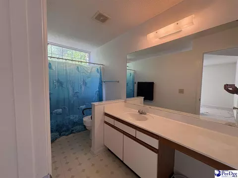 Bath - 1360 Damon Dr UNIT E, Florence, SC 29505 photo 2 of 2