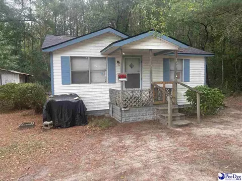 222 Emanuelville Loop, Dillon, SC 29536 photo 2