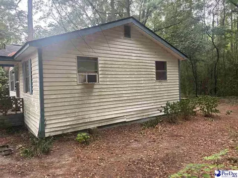 222 Emanuelville Loop, Dillon, SC 29536 photo 6