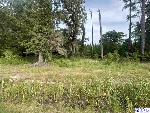 tbd Old Apt 4 Hwy, Coward, SC 29530