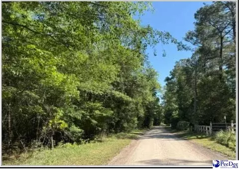 1047 Roundtree Rd, Effingham, SC 29541 photo 5