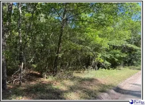 1047 Roundtree Rd, Effingham, SC 29541 photo 6