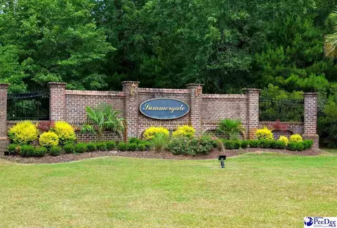 Other - 1470 Summergate Dr, Florence, SC 29501 photo 11 of 11