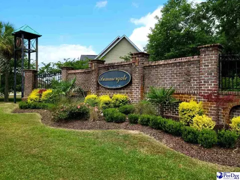 Other - 1470 Summergate Dr, Florence, SC 29501 photo 1 of 11