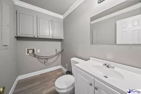 Other - 261 Lakeside Dr, Hartsville, SC 29550 photo 8 of 8