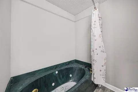 Bath - 261 Lakeside Dr, Hartsville, SC 29550 photo 3 of 4