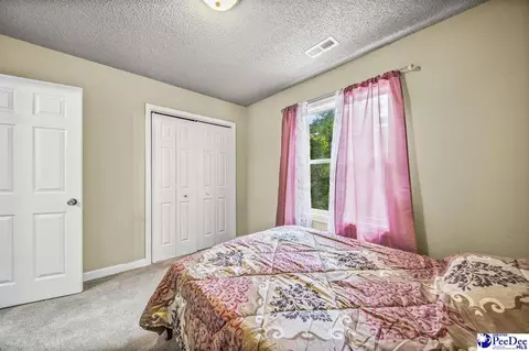 Bedroom - 261 Lakeside Dr, Hartsville, SC 29550 photo 6 of 6