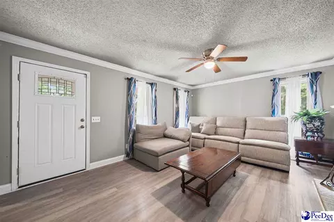 Other - 261 Lakeside Dr, Hartsville, SC 29550 photo 3 of 11