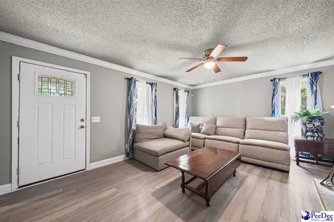 Other - 261 Lakeside Dr, Hartsville, SC 29550 photo 2 of 8