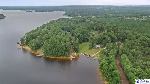 View/Area - 261 Lakeside Dr, Hartsville, SC 29550 photo 1 of 1