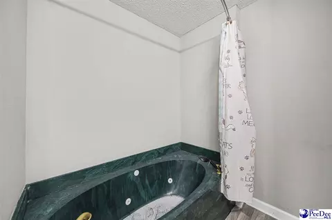 Bath - 261 Lakeside Dr, Hartsville, SC 29550 photo 3 of 4
