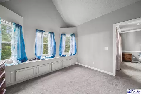 Other - 261 Lakeside Dr, Hartsville, SC 29550 photo 6 of 8