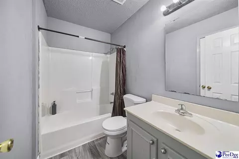 Bath - 261 Lakeside Dr, Hartsville, SC 29550 photo 4 of 4