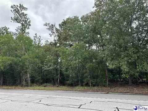 Hwy 151, Hartsville, SC 29550