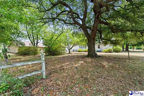 739 E Hampton St, Olanta, SC 29114 photo 35